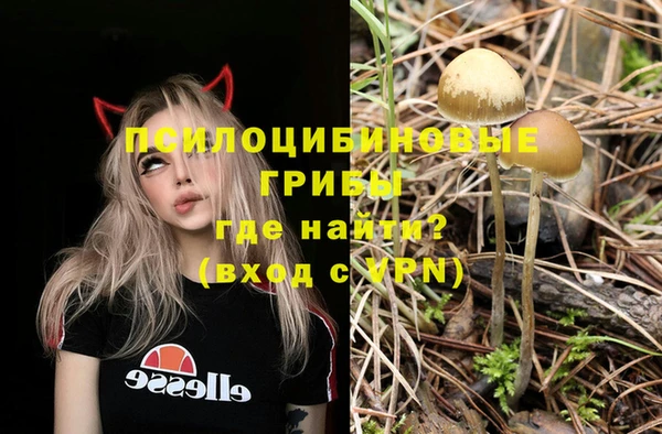 a pvp Алексеевка